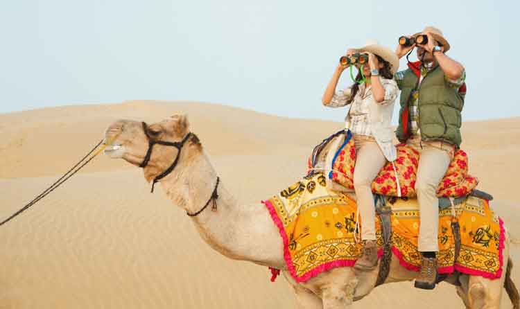 Desert and Camel Safari