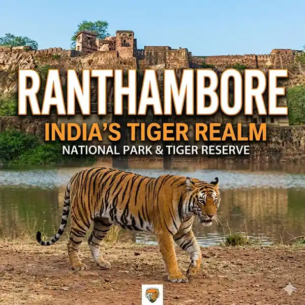 Ranthambore Tourism
